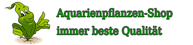 Aquarienpflanzen-Shop.de